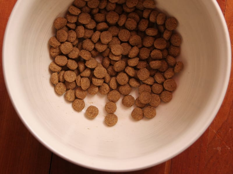 Dog Food Bowl